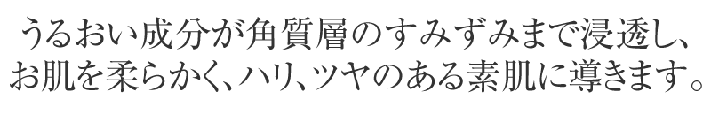 邨ZAnAĉfɓ܂B